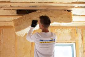 Best Insulation for New Construction  in Newport, NC